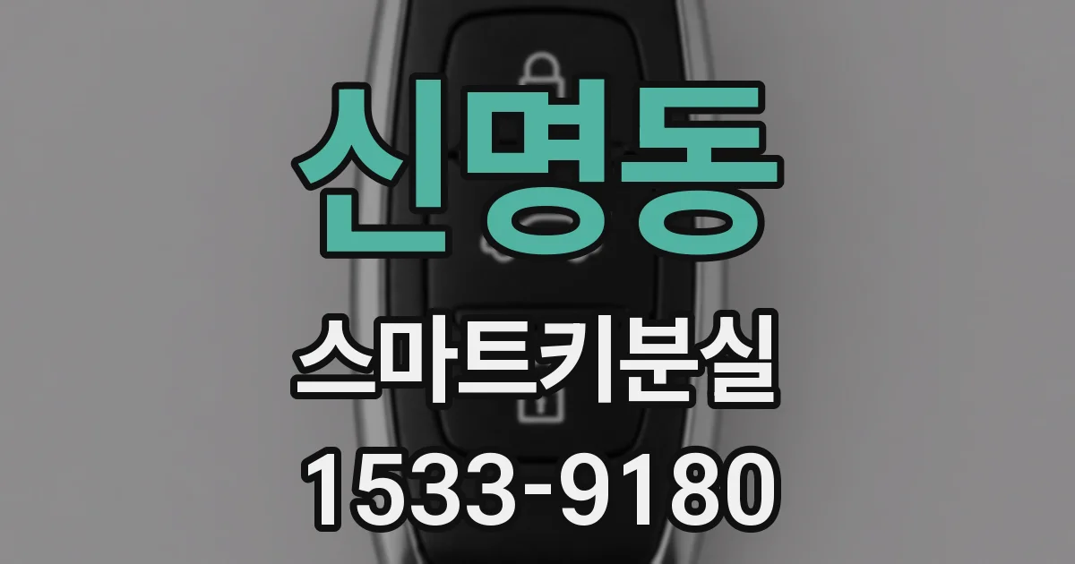 신명동 스마트키분실