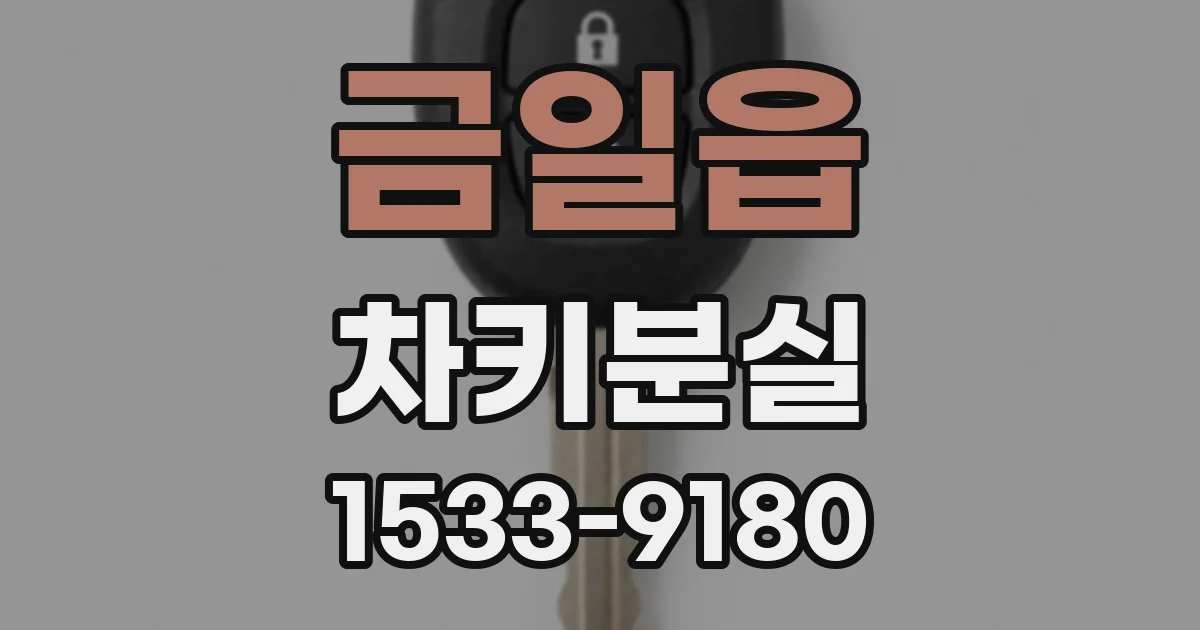 금일읍 차키분실