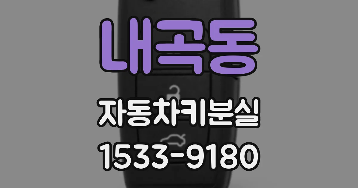 내곡동 자동차키분실