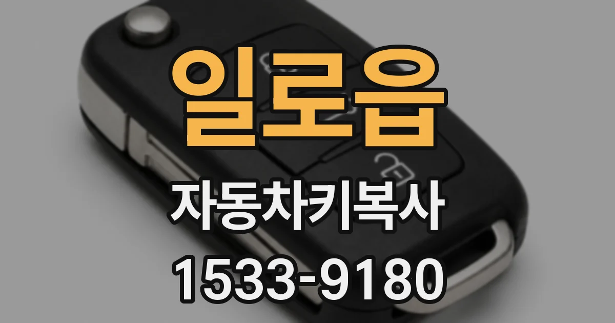 일로읍 자동차키복사
