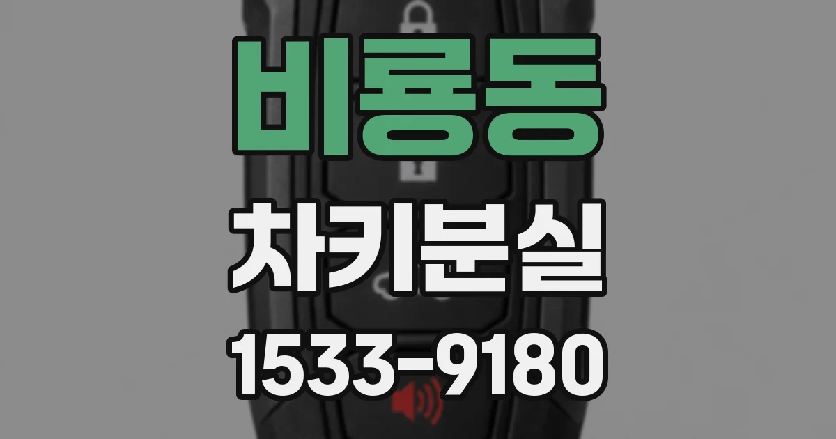 비룡동 차키분실