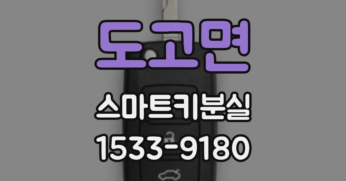 도고면 스마트키분실