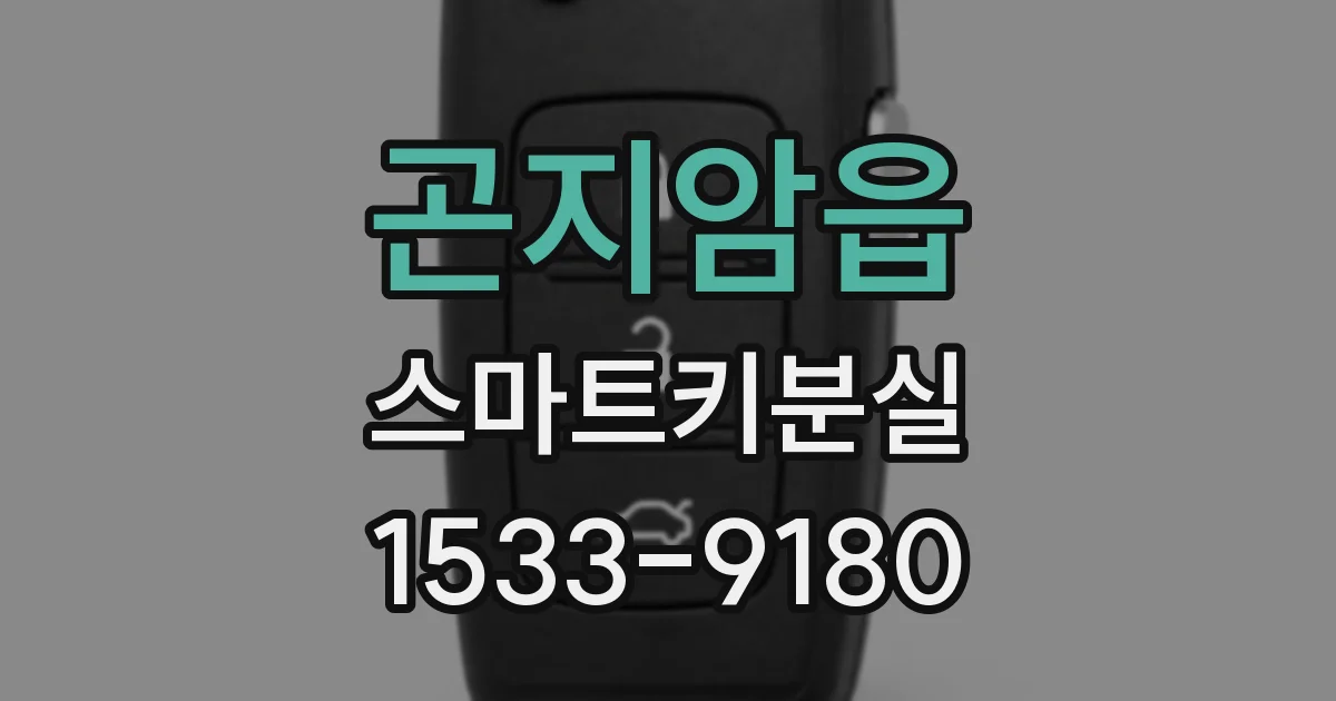 곤지암읍 스마트키분실