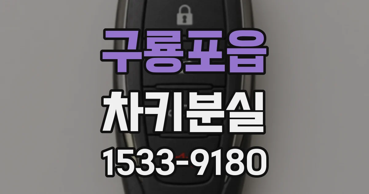 구룡포읍 차키분실