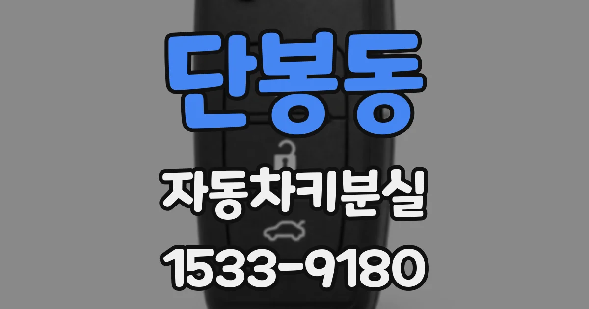 단봉동 자동차키분실