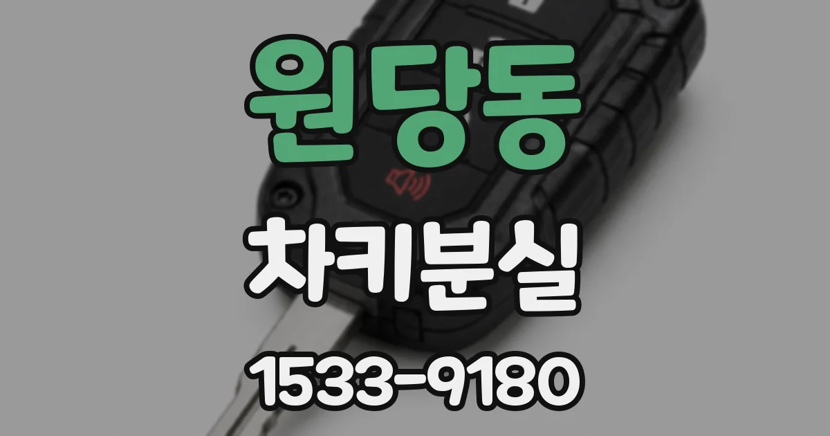 원당동 차키분실