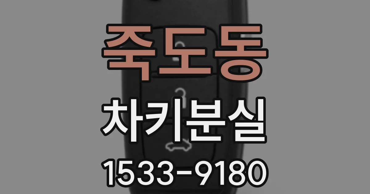 죽도동 차키분실