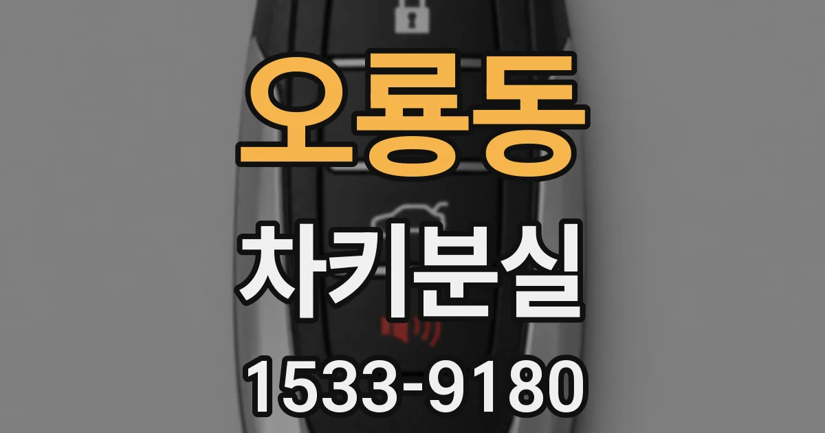 오룡동 차키분실