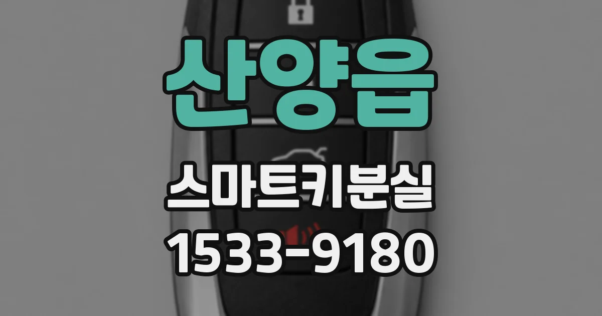 산양읍 스마트키분실