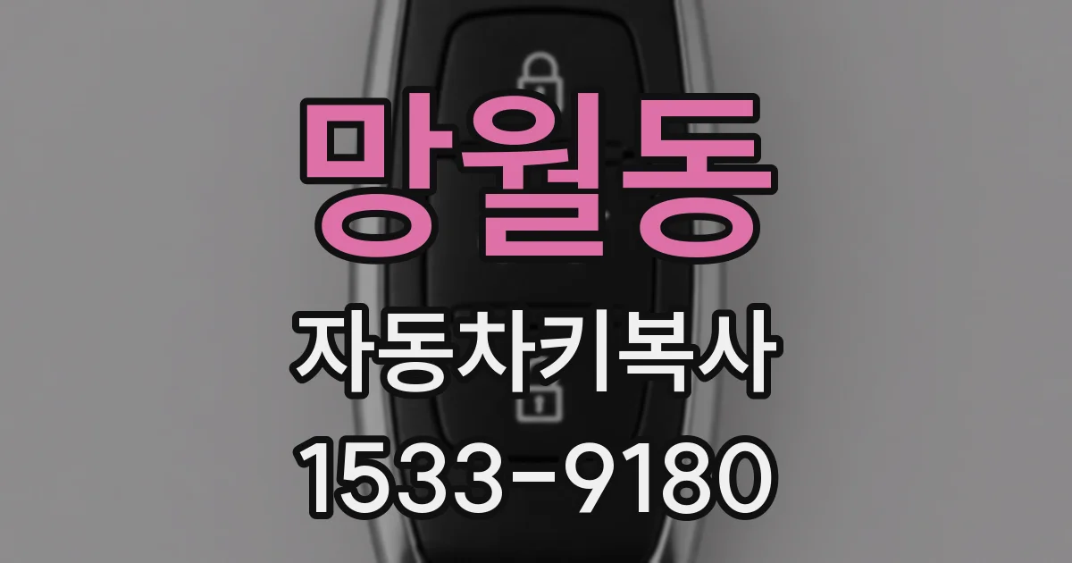 망월동 자동차키복사