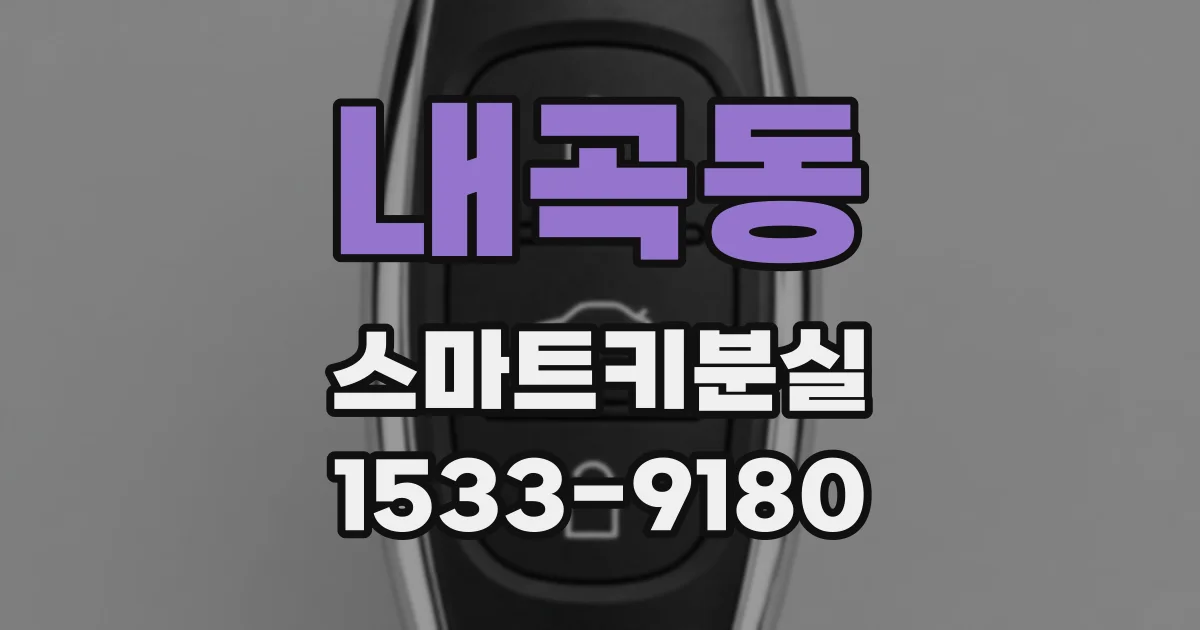 내곡동 스마트키분실