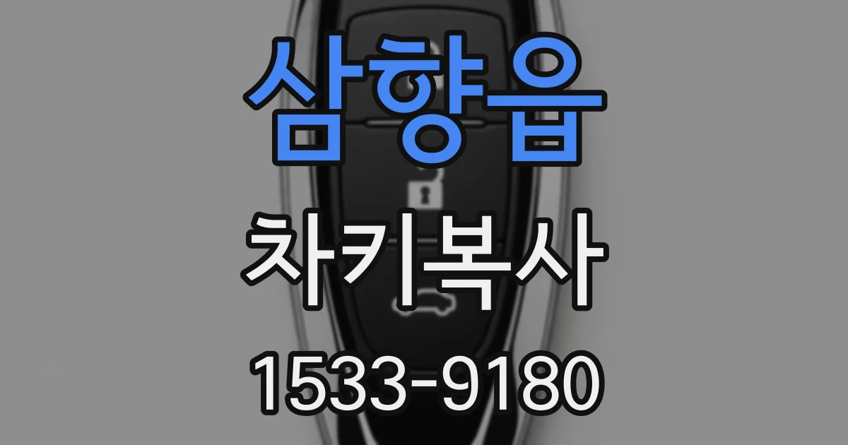 삼향읍 차키복사