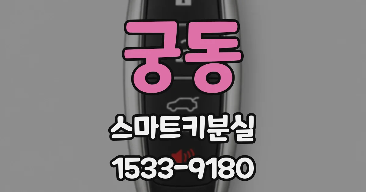 궁동 스마트키분실