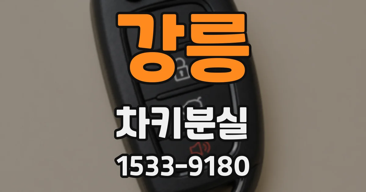 강릉 차키분실