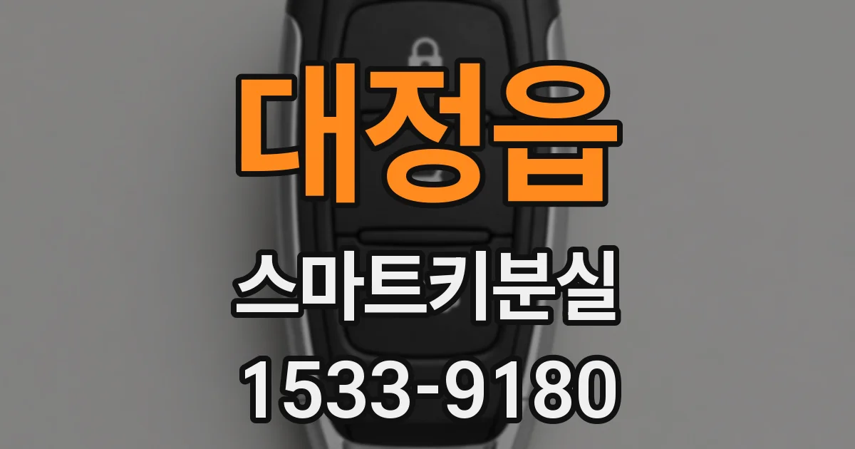 대정읍 스마트키분실
