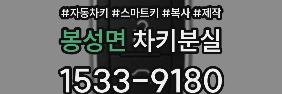 봉성면 차키분실