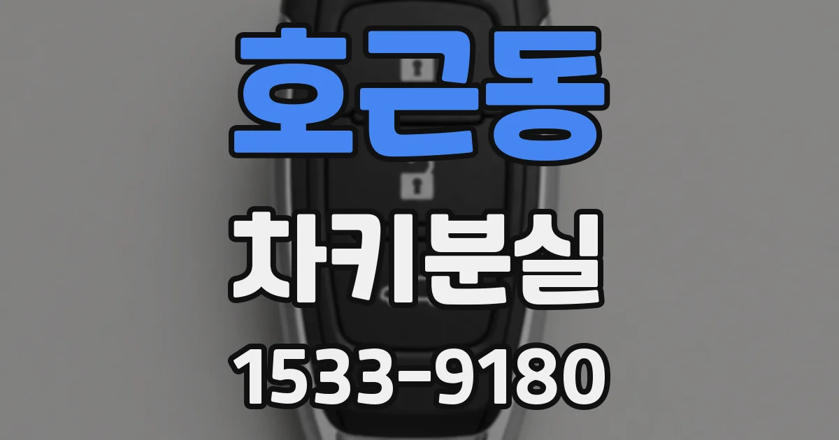 호근동 차키분실