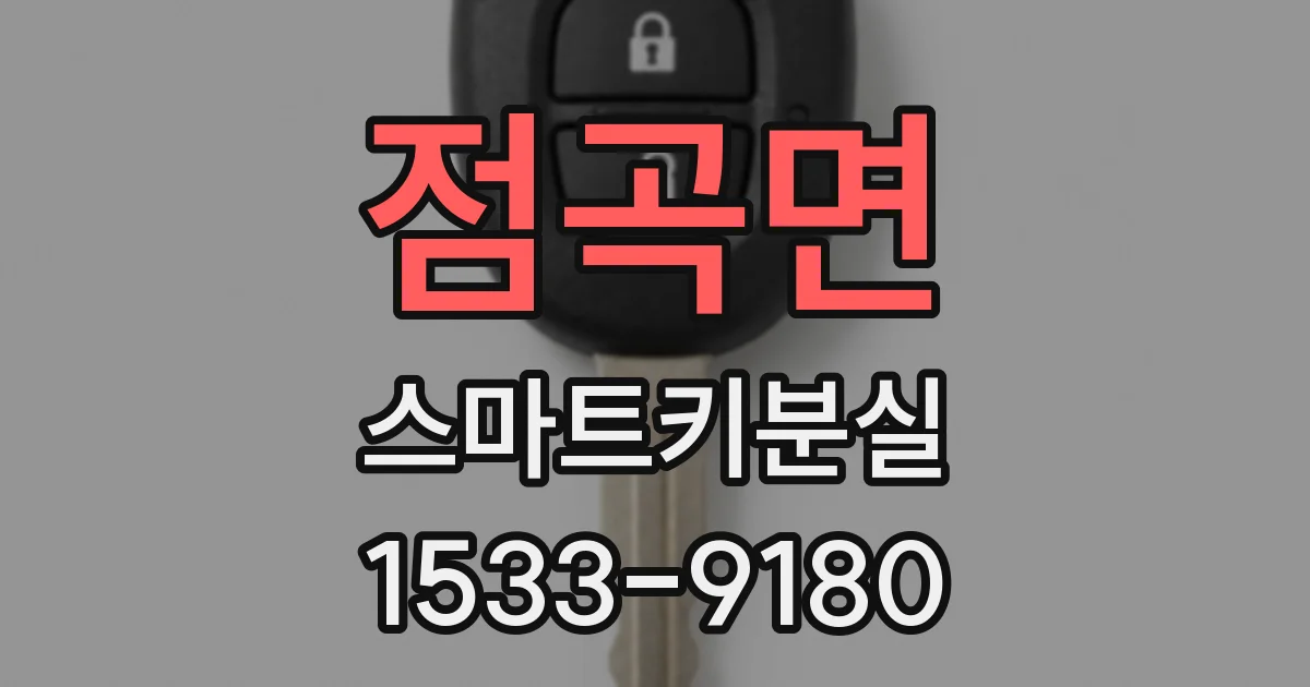 점곡면 스마트키분실
