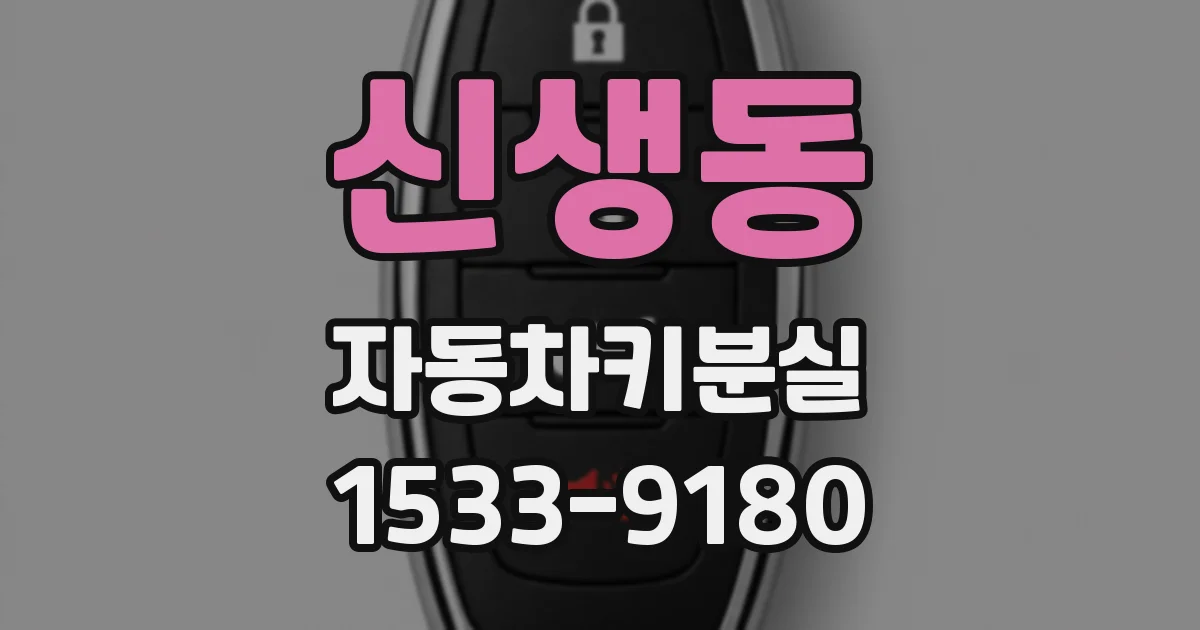 신생동 자동차키분실
