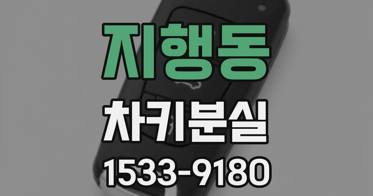 지행동 차키분실
