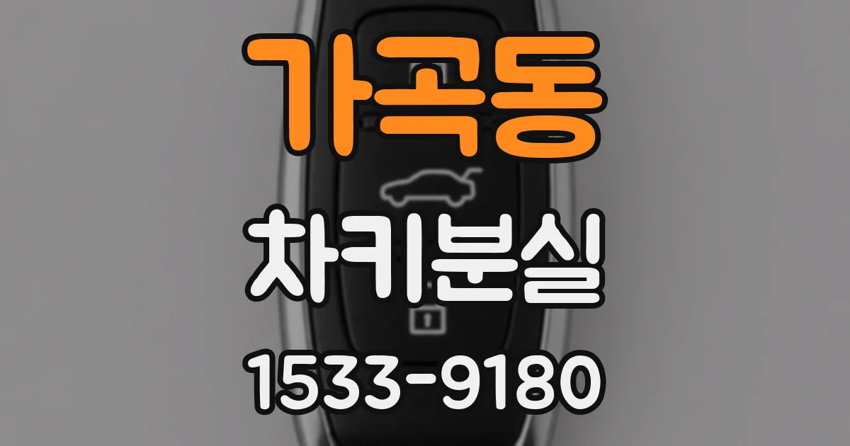 가곡동 차키분실