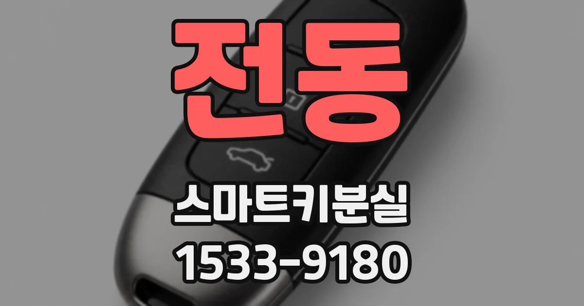 전동 스마트키분실