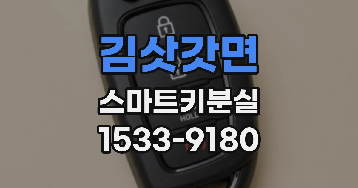 김삿갓면 스마트키분실