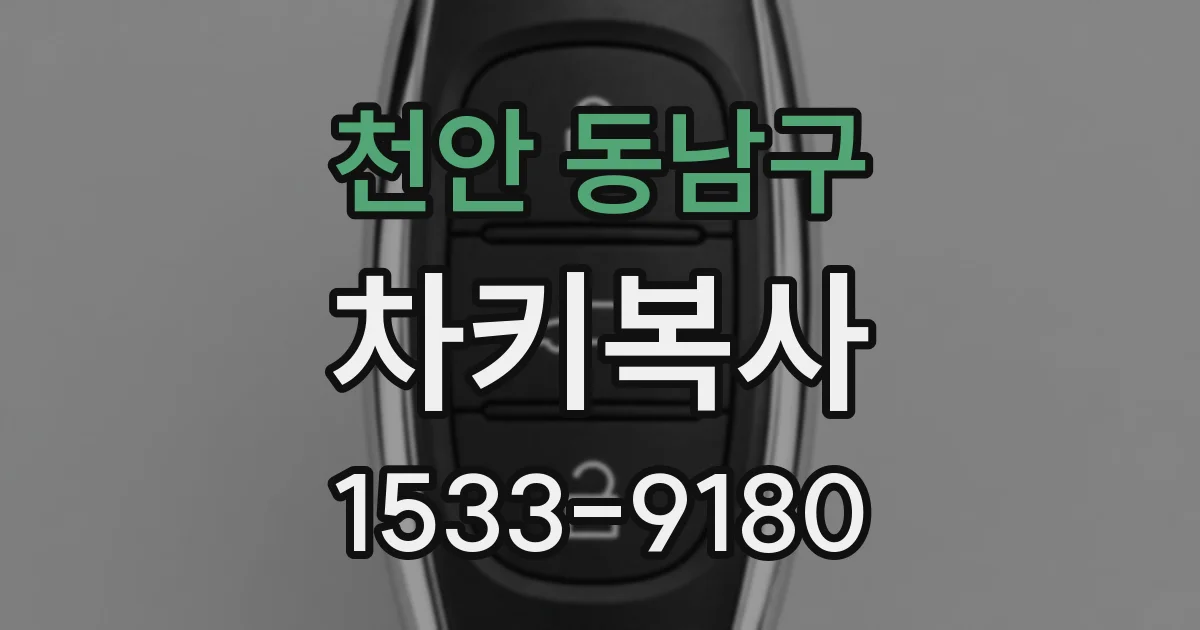 천안 동남구 차키복사