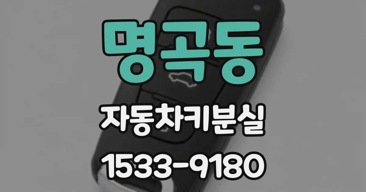 명곡동 자동차키분실