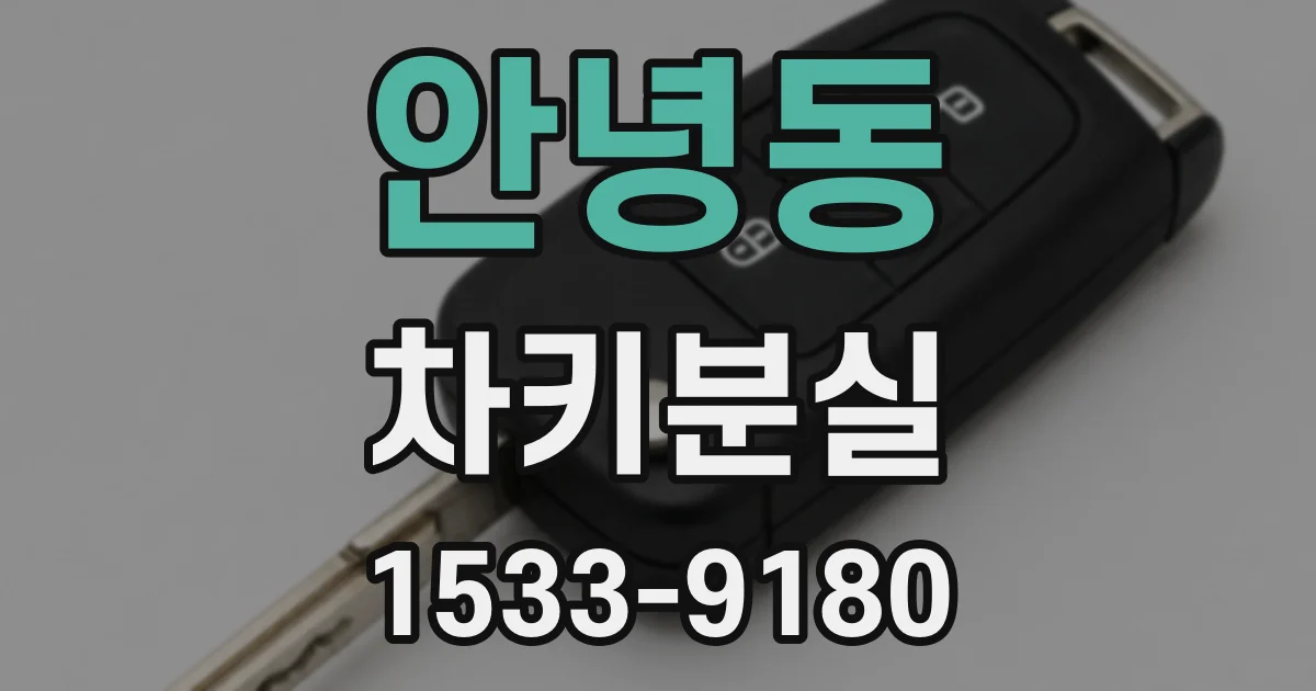 안녕동 차키분실