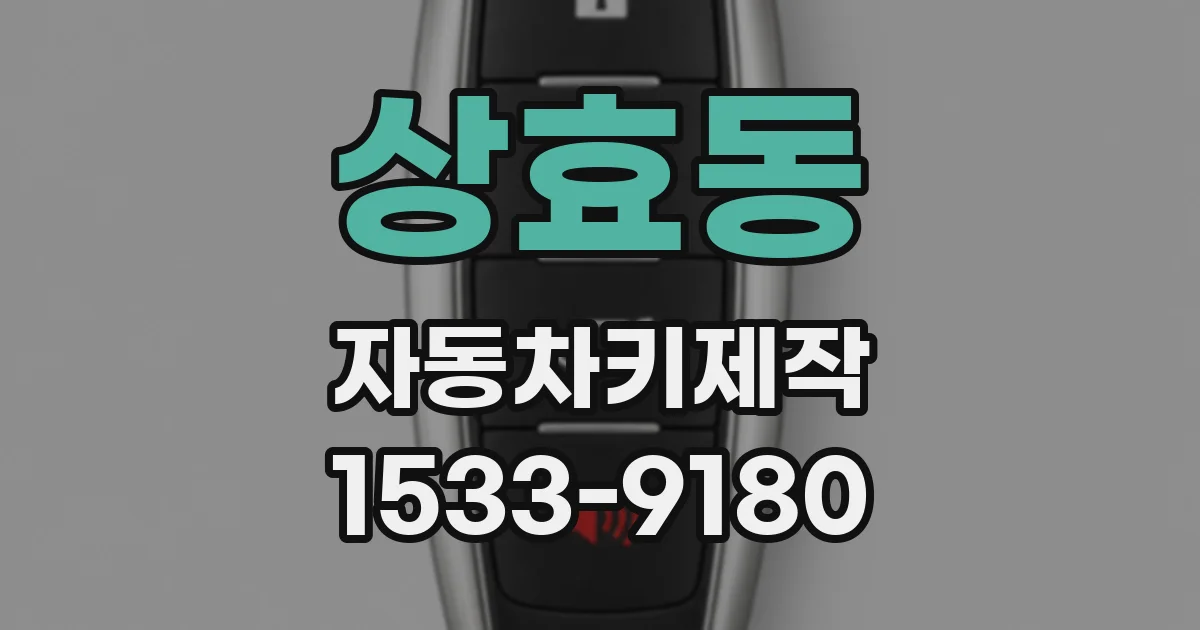 상효동 자동차키제작