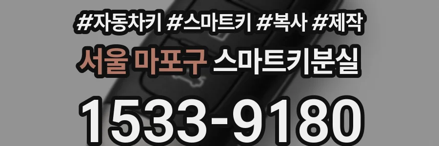 서울 마포구 스마트키분실