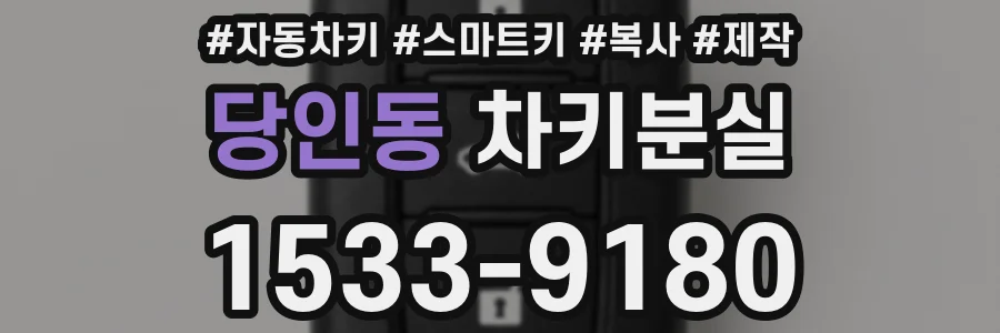 당인동 차키분실