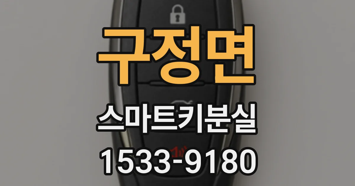 구정면 스마트키분실