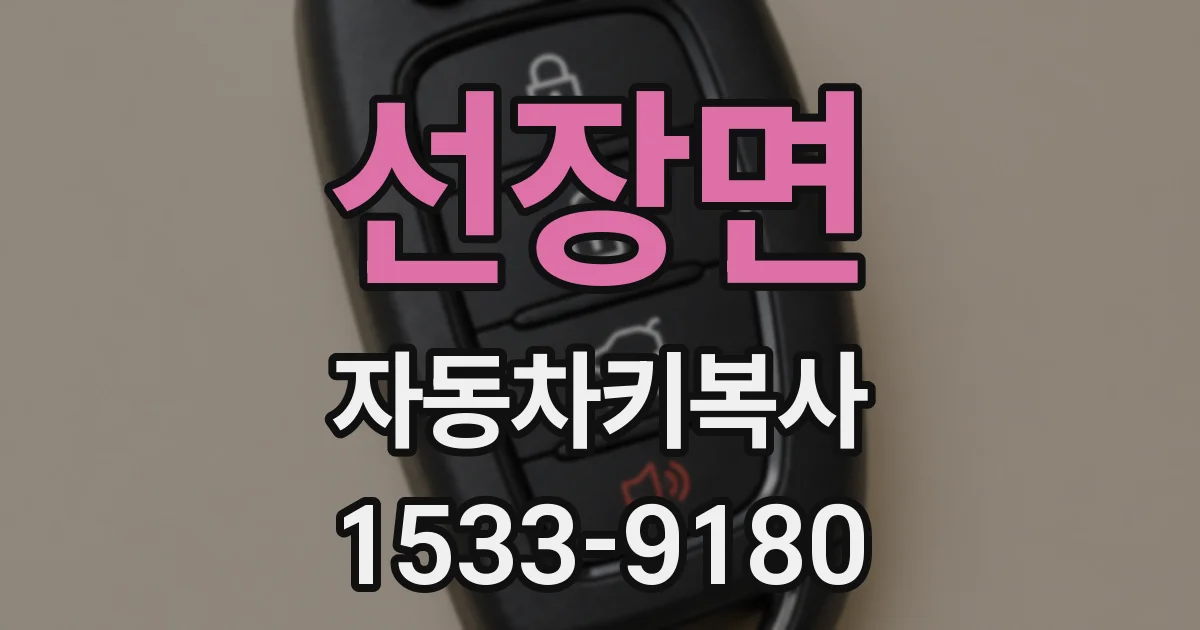 선장면 자동차키복사