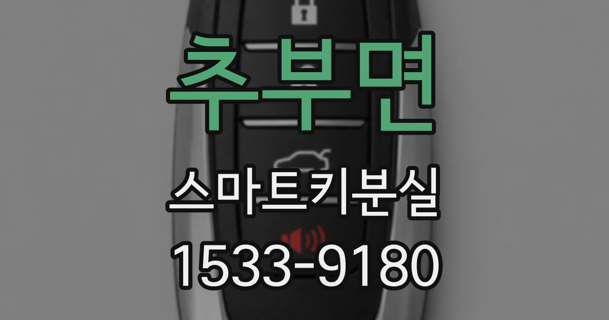 추부면 스마트키분실