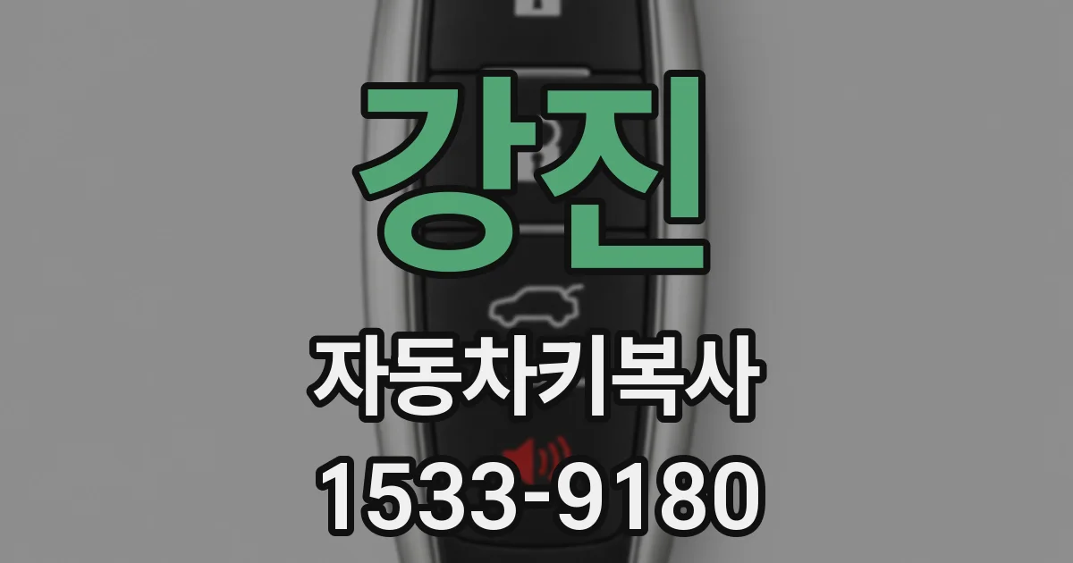 강진 자동차키복사