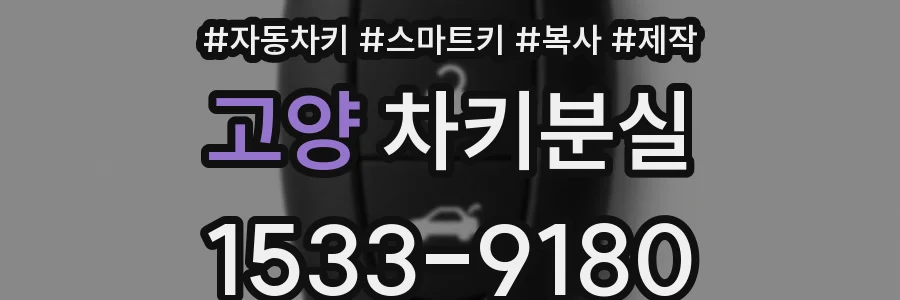 고양 차키분실