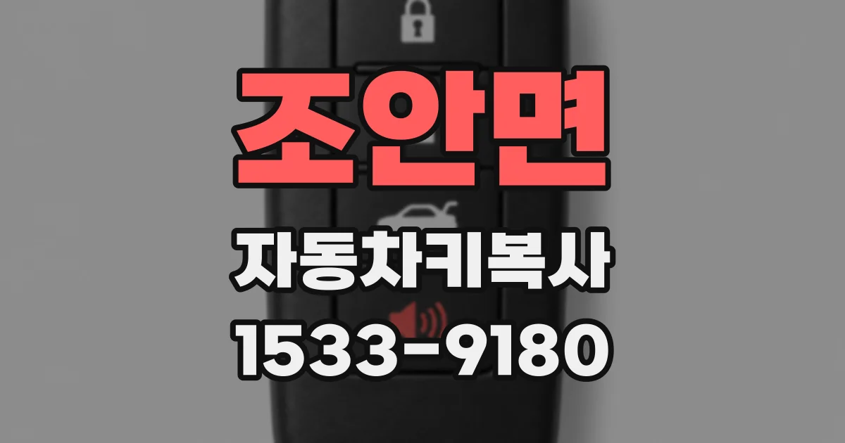 조안면 자동차키복사