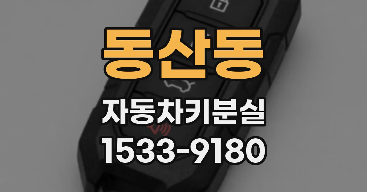 동산동 자동차키분실