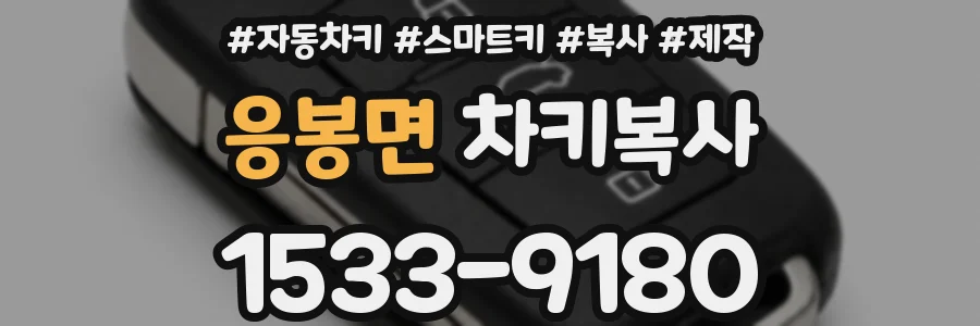 응봉면 차키복사