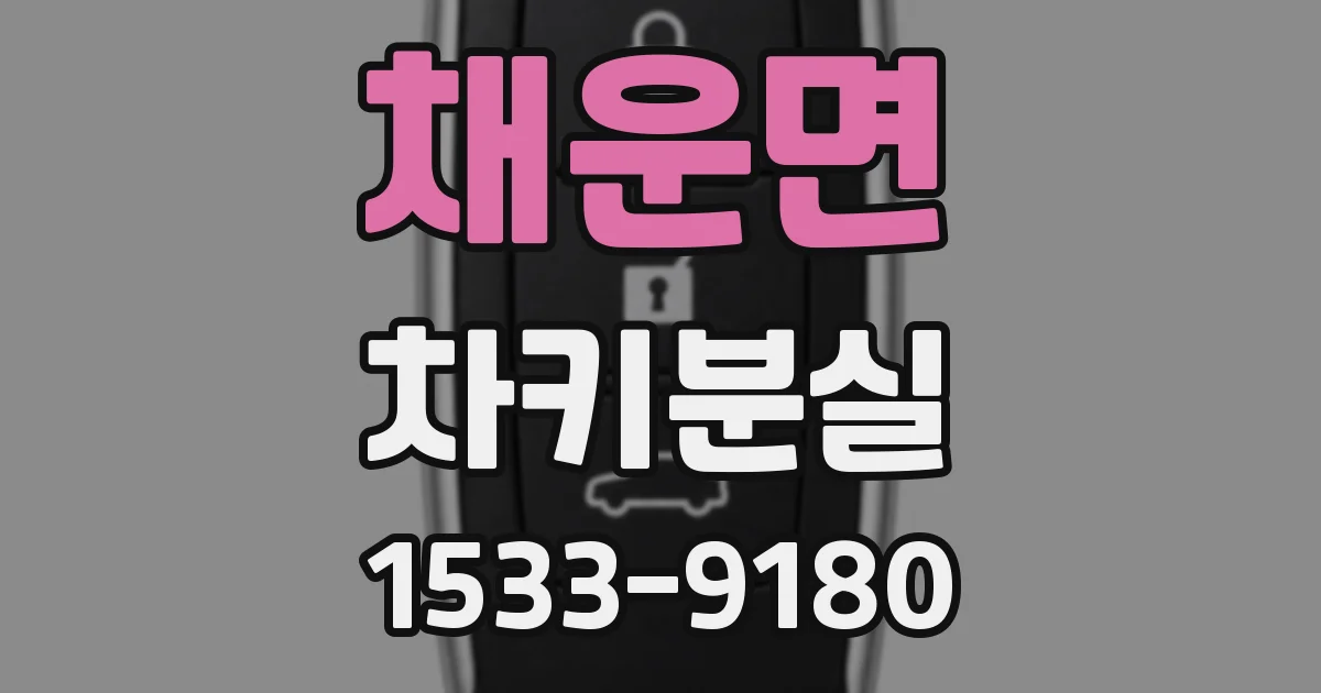 채운면 차키분실