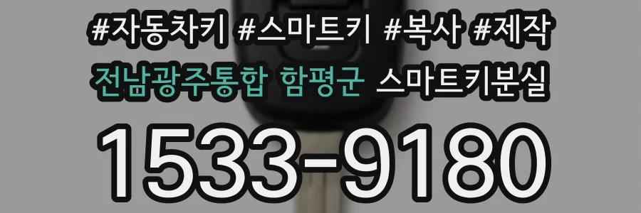 전남광주통합 함평군 스마트키분실