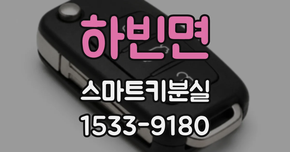 하빈면 스마트키분실