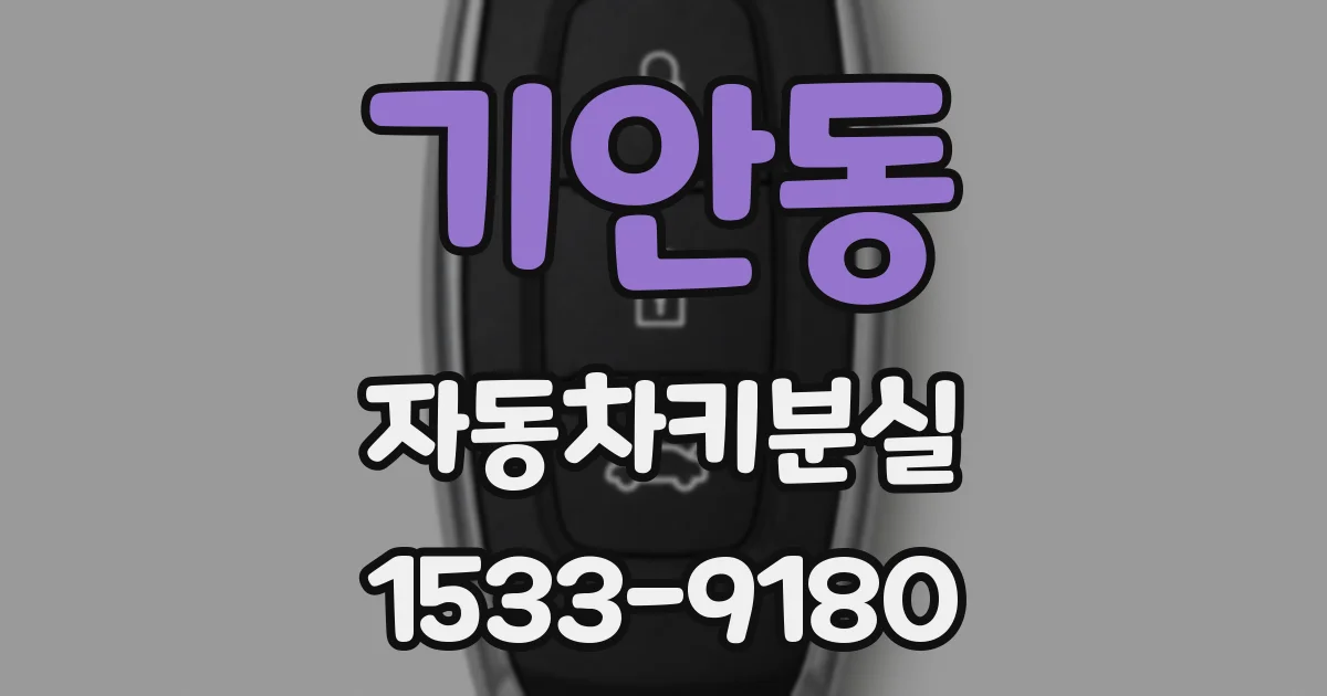 기안동 자동차키분실