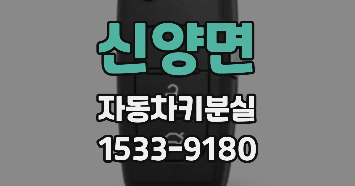 신양면 자동차키분실