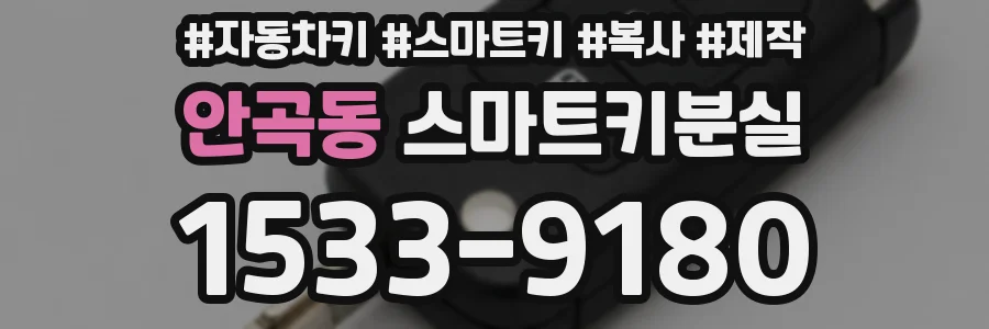 안곡동 스마트키분실
