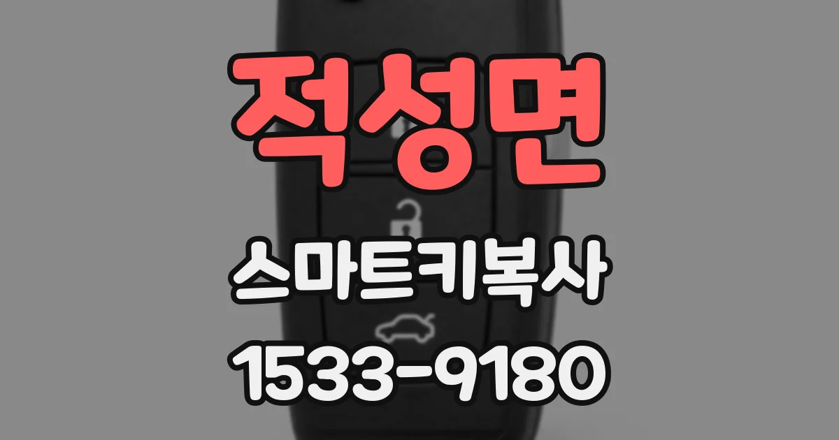 적성면 스마트키복사