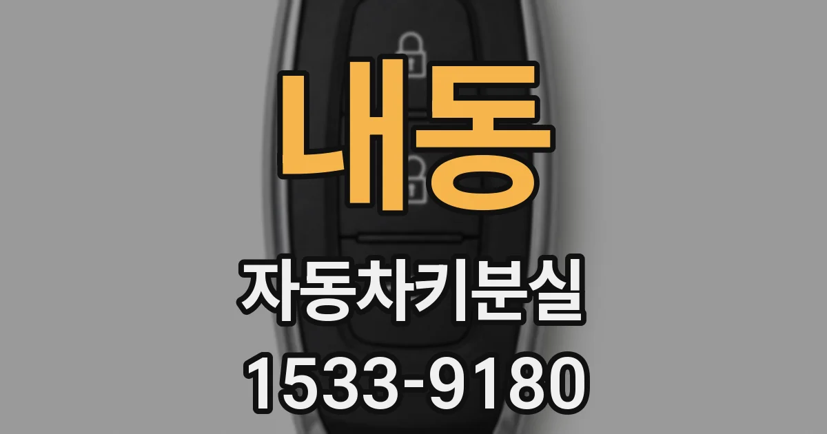 내동 자동차키분실
