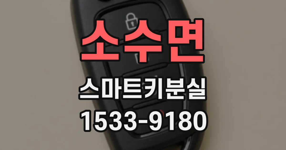 소수면 스마트키분실